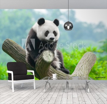 Bild på Giant panda bear climbing in tree
